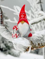 Der Weihnachtswichtel zieht ein